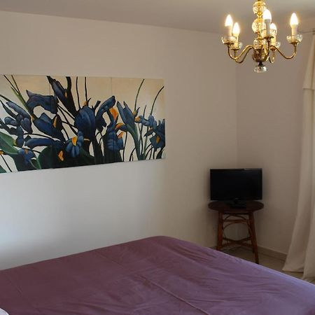Bellevue Bed & Breakfast Saint-Paterne-Racan Ngoại thất bức ảnh